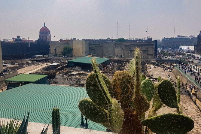 Templo Mayor Museum Semi Private Walking Tour in Mexico City Downtown - Semi-private, max 8 group size: what you gain beyond a regular group tour