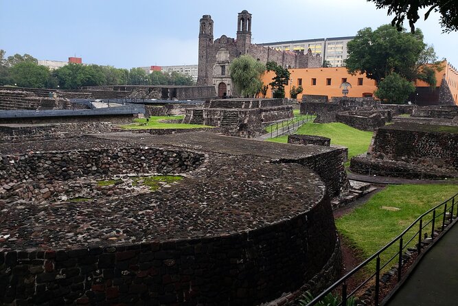 Teotihuacan & Basilica of Guadalupe - Private Tour - Cicheless Break: Cochinita Pibil Tasting That Feels Like a Real Meal Moment