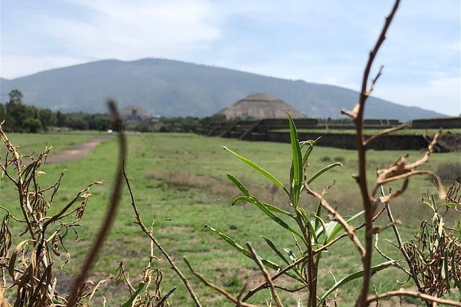 Teotihuacan & Basilica of Guadalupe - Private Tour - Private Transportation and a Certified Guide: The Difference You Feel in a Private Day
