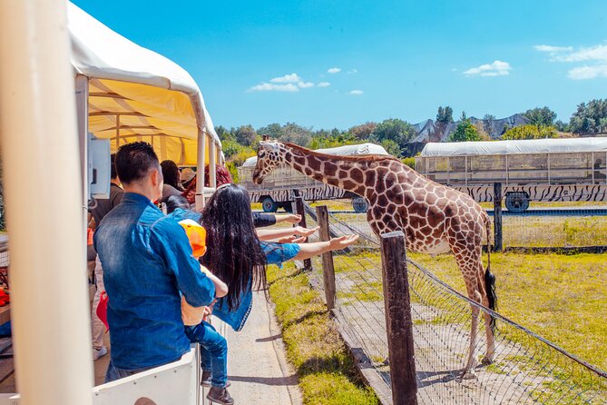 Teotihuacán for kids - Stop 2: Reino Animal Park and the hands-on safari truck