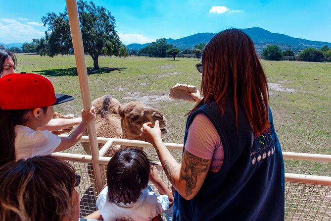 Teotihuacán for kids - Snacks, lunch, and keeping the day kid-friendly