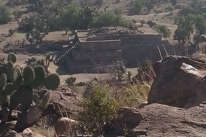 Teotihuacan Pyramids tour - Optional Basilica de Guadalupe: history, meaning, and a free ticket