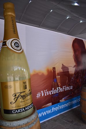 The Magical Town of Tepotzotlán & Artisanal wine from Mexico City - Timing, Pickup, and Getting Around Without Stress