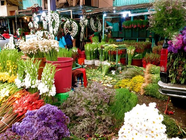 Tortilla Crawl: Food Tour in Mexico City - Key Things I’d Circle Before You Go
