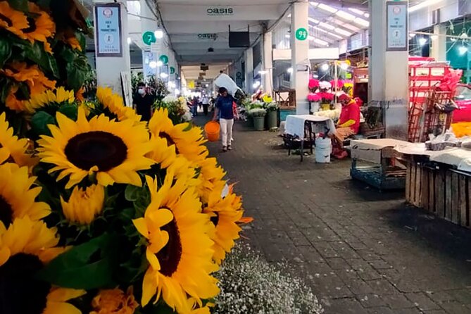 Tortilla Crawl: Food Tour in Mexico City - Tortillas, Metro, and Downtown Mexico City at a Human Pace