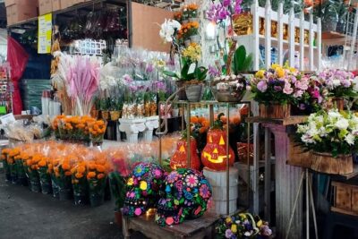 Tortilla Crawl: Food Tour in Mexico City - Start at Plaza de la Constitución, Finish by Bellas Artes