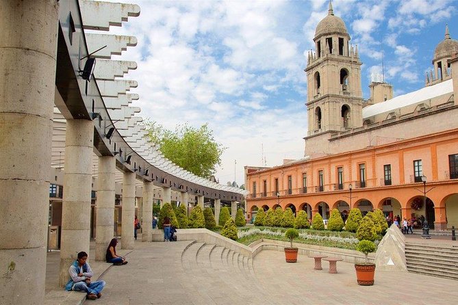 Tour of the Nevado and City of Toluca - Cosmovitral Jardin Botanico: A Fast 30-Minute Toluca Break