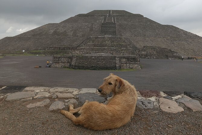 Tour to Teotihuacan from CDMX with entrances included - A/C transport plus the Rosetta bakery coffee stop
