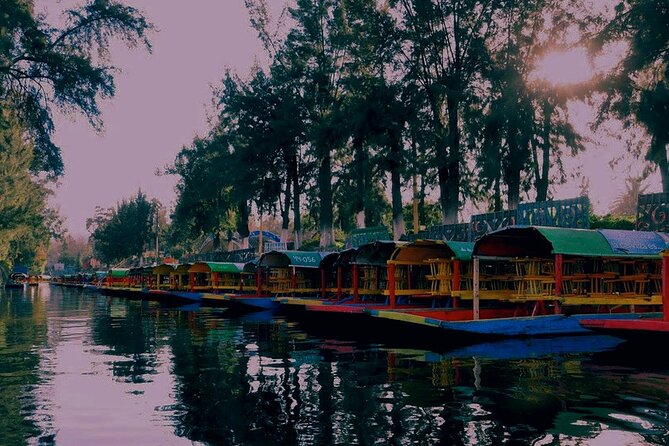 Trajinera Party at Xochimilco with Drinks, Mariachi & Snacks - Price and Value: Why $47 Can Feel Great or Not