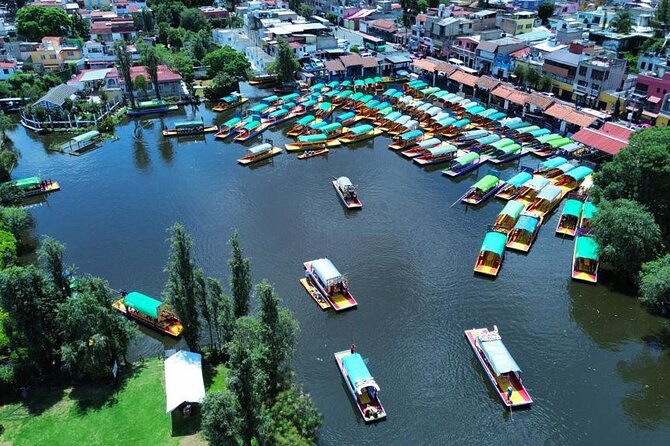 Trajinera ride in Xochimilco - Why the Xochimilco trajinera ride feels different from a standard tour