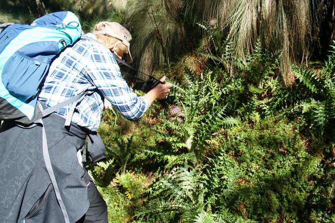 Trekking Through The Volcanoes - Amalacaxco ravine: forests, flora, and the quiet surprise moments