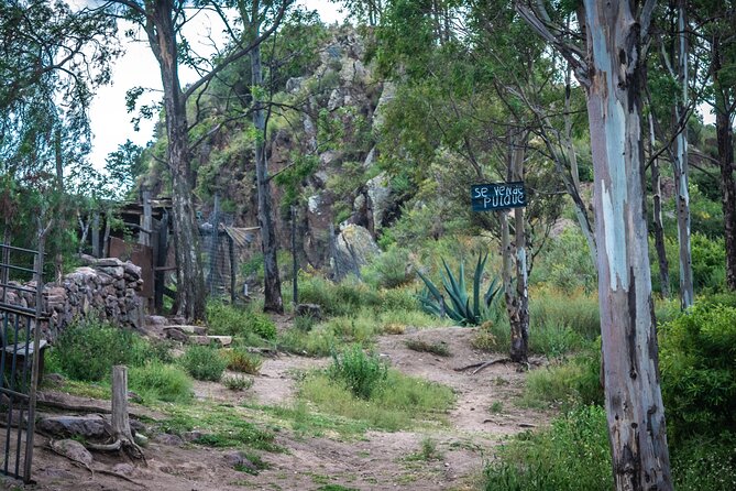 Unique cablecar experience, pulque tasting &unbeatable views - The pulque stop: what you’re tasting, and why it matters here
