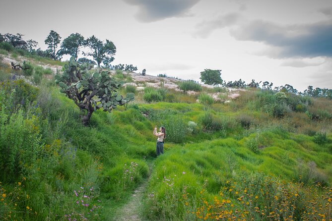 Unique cablecar experience, pulque tasting &unbeatable views - The short hike: manageable for many, but don’t ignore the slope