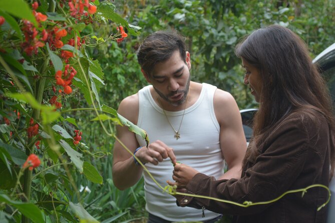 Urban Orchard in Desierto de los Leones in Mexico City - Key Things You’ll Remember