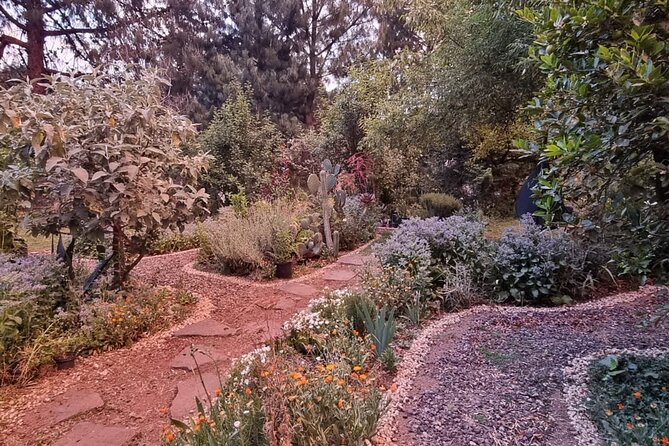 Urban Orchard in Desierto de los Leones in Mexico City - Meeting Rubén and David in a Garden That Actually Works