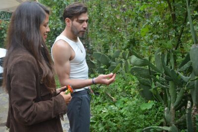 Urban Orchard in Desierto de los Leones in Mexico City - Learn the Orchard With Your Senses (Yes, Really)