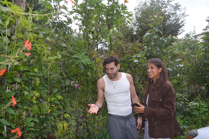 Urban Orchard in Desierto de los Leones in Mexico City - The Soundtrack: Birds, Insects, and Ecosystem Signals