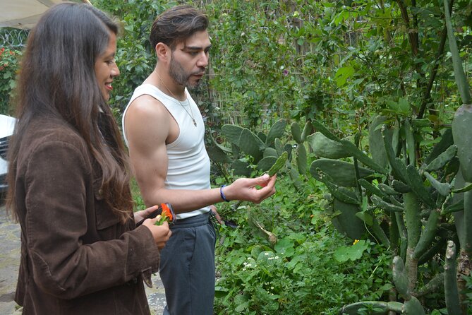 Urban Orchard in Desierto de los Leones in Mexico City - Learn the Orchard With Your Senses (Yes, Really)