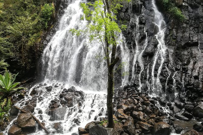 Valle de Bravo: Private & Small group tour from Mexico City - Valle de Bravo Cobblestones: Town Charm and Real Time to Wander