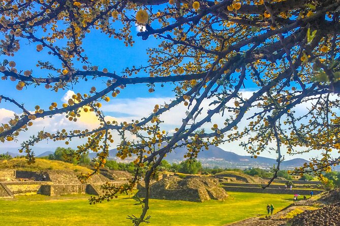 VIP Teotihuacan & Guadalupe Shrine Tour: A Journey Through Time - Price and what’s actually included (and why it can be good value)