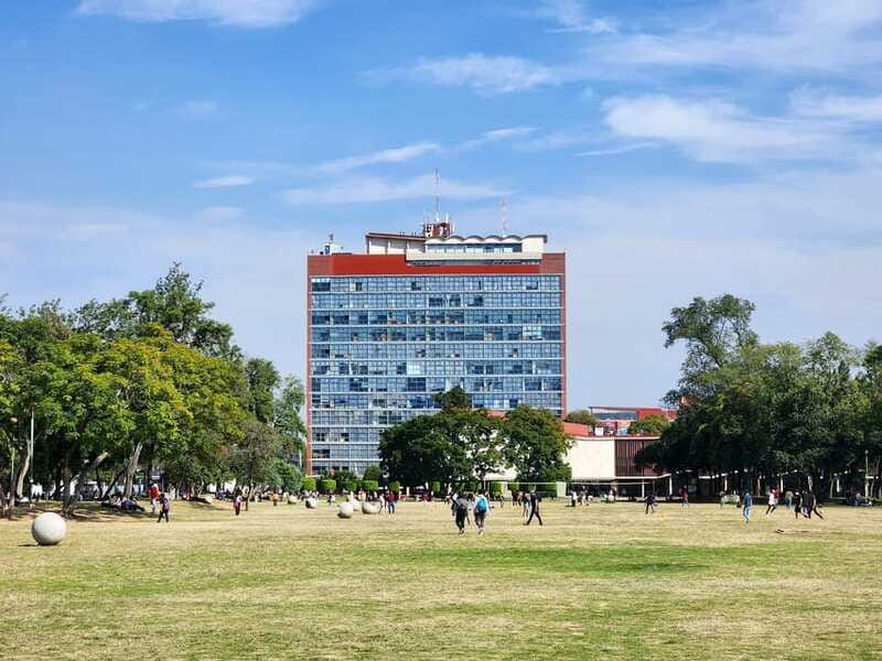 Walk around UNAM campus, a UNESCO World Heritage Site - Who you’ll learn from: Sebastián and the campus behind the buildings