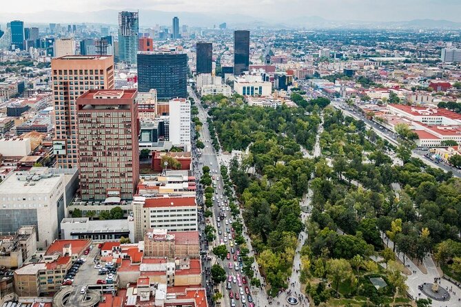 Walking Tour in Historic Center CDMX - Key highlights you’ll feel on this walk