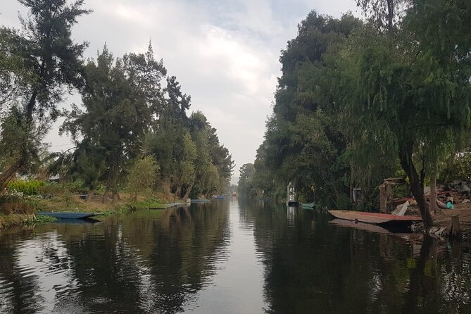 "Xochimilco: A Floating Mexican Fiesta" - Transportation From the María Isabel Sheraton Hotel: Worth It