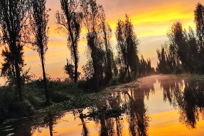 Xochimilco at dawn in Canoe or Kayak and Organic Breakfast - Key things to know before you go