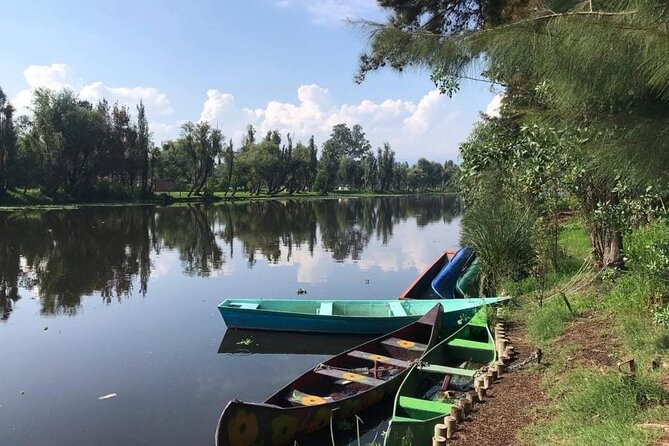 Xochimilco at dawn in Canoe or Kayak and Organic Breakfast - Seeing volcano light rise behind Iztaccíhuatl and Popocatépetl
