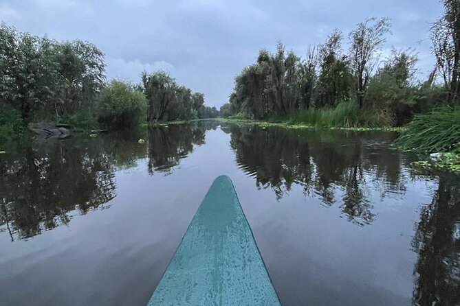 Xochimilco at dawn in Canoe or Kayak and Organic Breakfast - The ecological workshop visit and why it matters