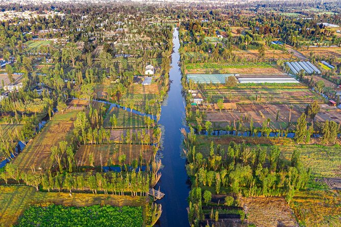 Xochimilco, Coyoacan and Frida Kahlo Museum Tour - Xochimilco on a trajinera: canal views plus included food and drinks