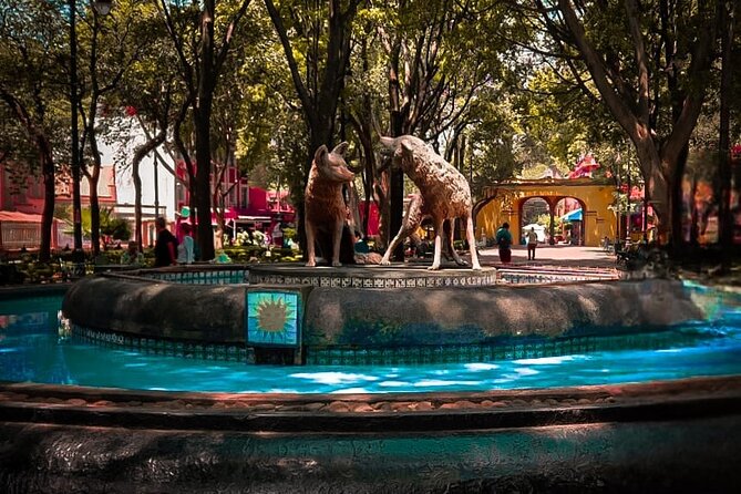 Xochimilco, Coyoacan and more tours - Coyoacán walking and the Frida Kahlo Blue House exterior: your neighborhood portion