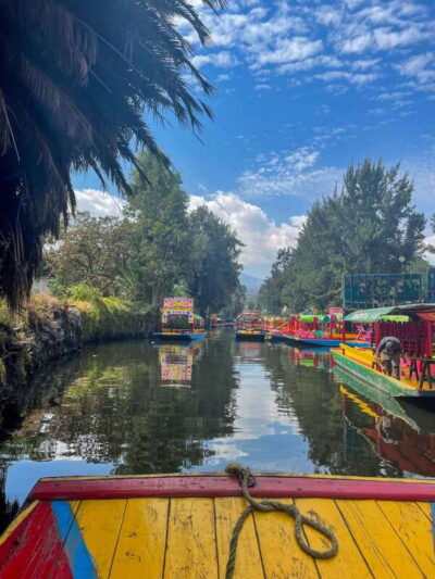 Xochimilco + Coyoacán Combo Full-Day Tour - Coyoacán streets and the market stop that actually helps you eat like a local