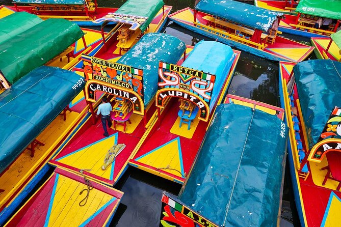 Xochimilco - Coyoacan Tour - Key things to know before you go