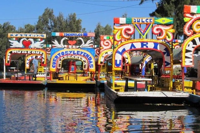 Xochimilco - Coyoacan Tour - What you’re really paying for: private transport that earns its keep