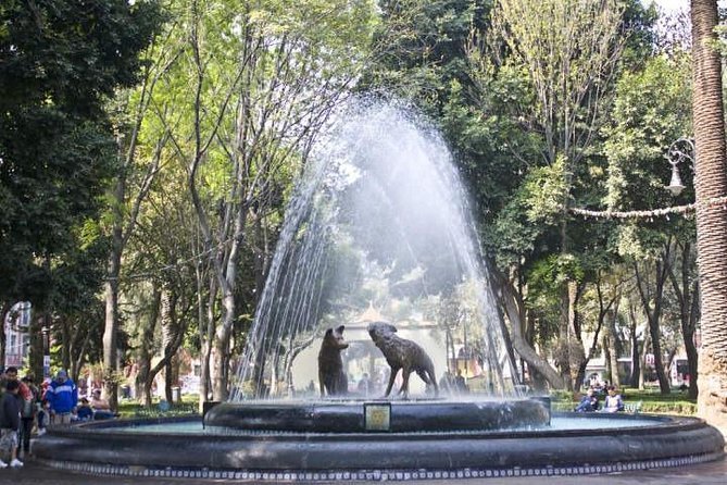 Xochimilco - Coyoacan Tour - Guide help and comfort: why this tour runs better than DIY