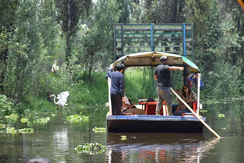 Xochimilco Ecological Tour – Away From the Crowds (3 Hours) - Your Guide Gabriel and the Chinampa Lesson You’ll Remember