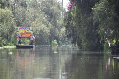 Xochimilco Ecological Tour – Away From the Crowds (3 Hours) - Cuemanco Pier Logistics: Getting There and Choosing the Right Time