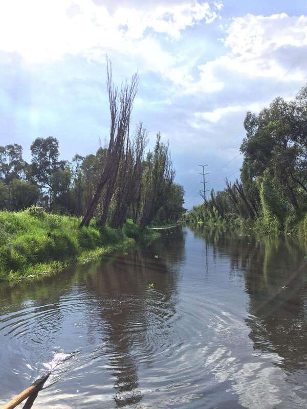 Xochimilco Ecological Tour – Away From the Crowds (3 Hours) - Axolotls at the Sanctuary: Why This Stop Hits Hard