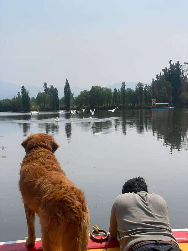 Xochimilco Ecological Tour – Away From the Crowds (3 Hours) - Value for $355 per Group: What You’re Actually Paying For