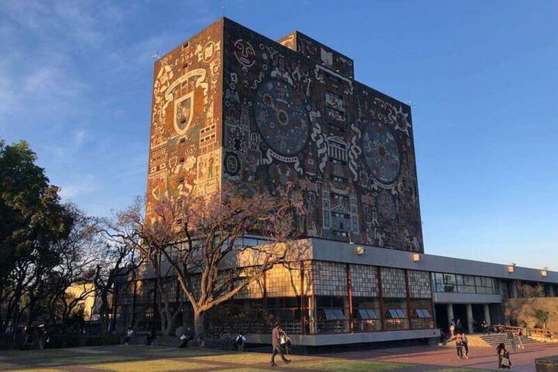 Xochimilco floating gardens, Coyoacan and UNAM murals - Key things you’ll notice on this tour