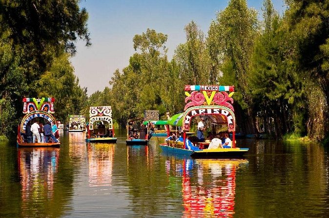 Xochimilco + Museo Anahuacalli (add-on) PET-FRIENDLY - PET-FRIENDLY Details That Matter (and How to Prepare)