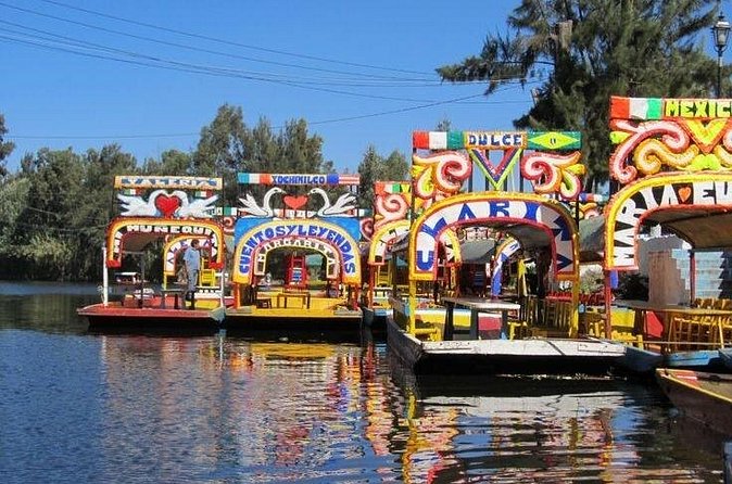 Xochimilco + Museo Anahuacalli (add-on) PET-FRIENDLY - Who This Tour Suits Best (Choose Based on Your Style)