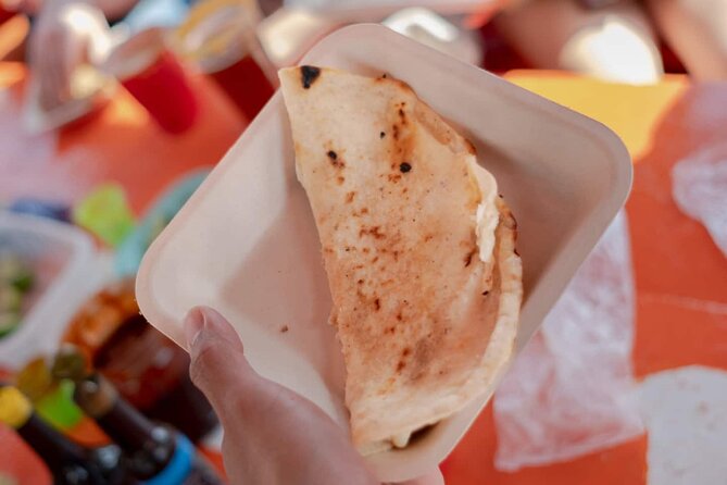 Xochimilco Party Pickup Included - Who This Tour Fits Best in Mexico City