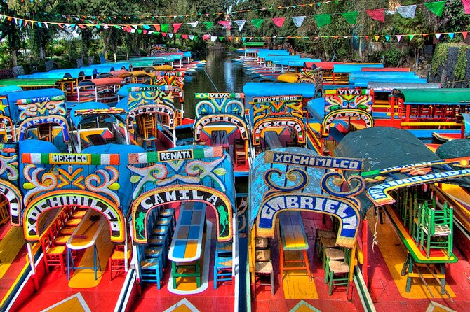 Xochimilco Tour: Visit Coyoacan and Casa Kahlo in Mexico City - Xochimilco canals and the trajinera ride: the day’s first wow moment