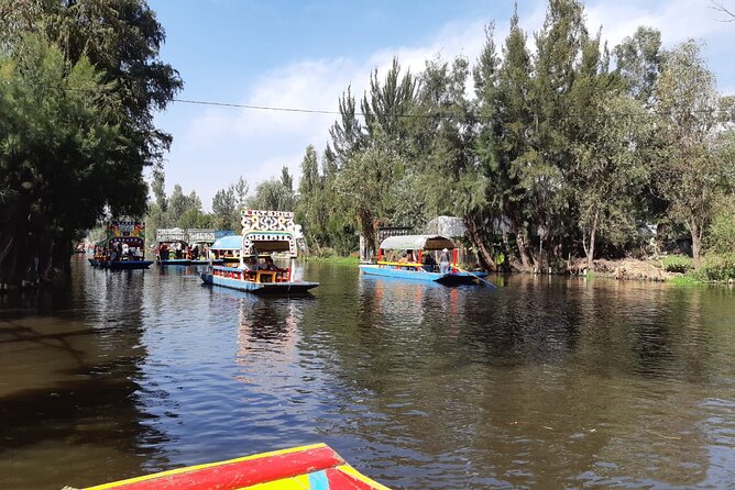 Xochimilco Tour - The One-Hour Trjinera Ride: How the Water Portion Feels