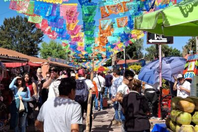 Xochimilco without Traps for Tourists BS"D - Seeing Chinanpas Up Close Without Needing a Lecture