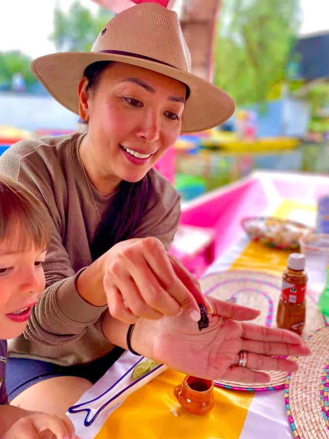 Xochimilco's Wild Side: Mezcal, Insects & Culture - Key things I’d prioritize on this tour