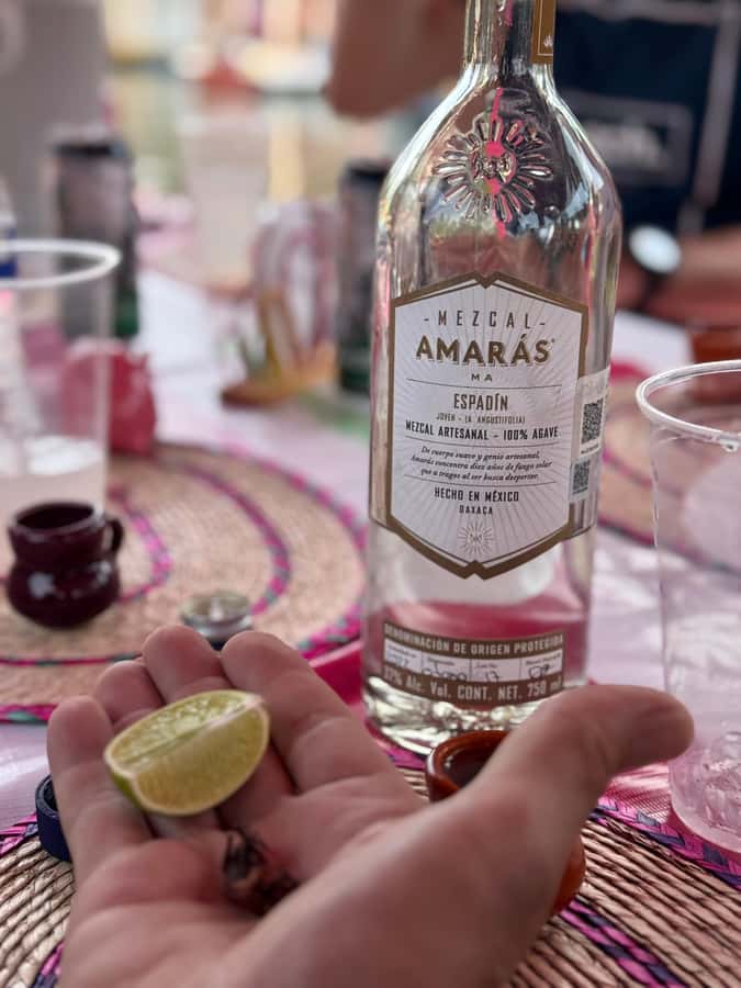 Xochimilco's Wild Side: Mezcal, Insects & Culture - What you drink besides mezcal: beer, soft drinks, water